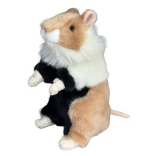 Obrázek z Křeček plyš 20cm 